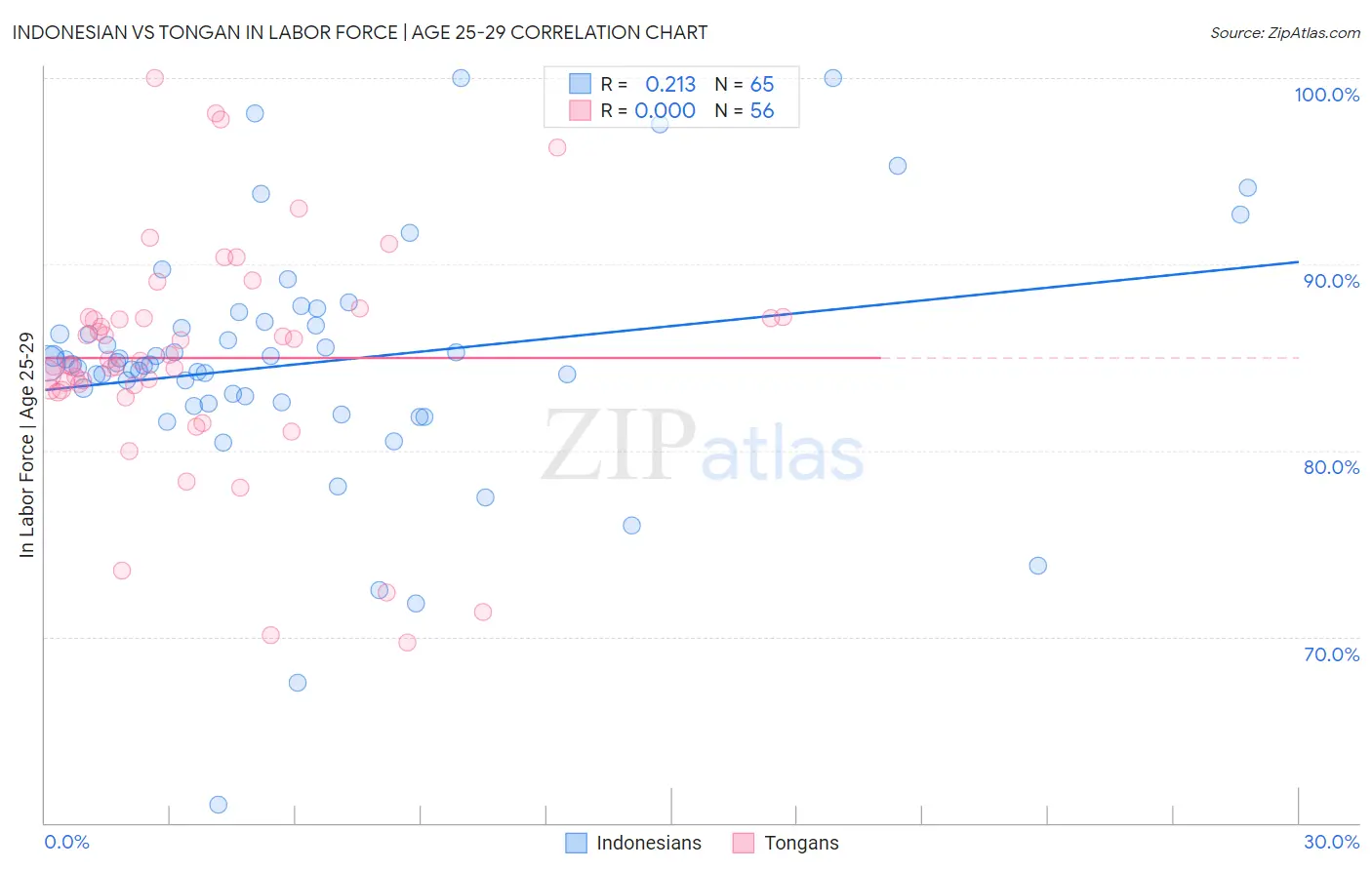 Indonesian vs Tongan In Labor Force | Age 25-29