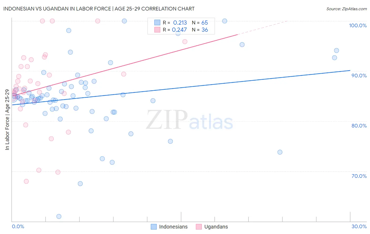 Indonesian vs Ugandan In Labor Force | Age 25-29