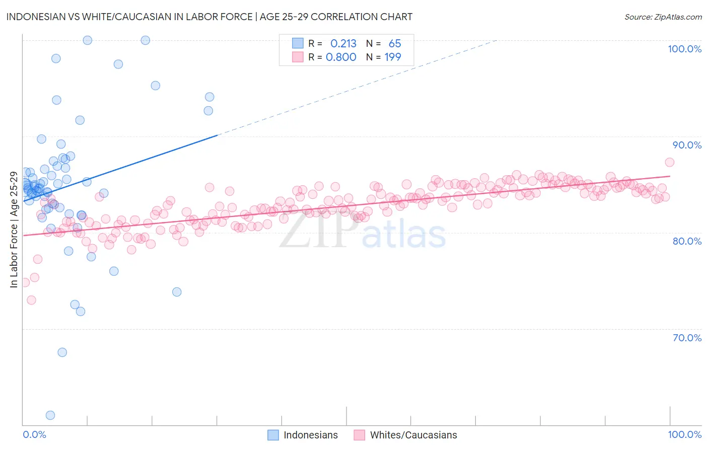 Indonesian vs White/Caucasian In Labor Force | Age 25-29