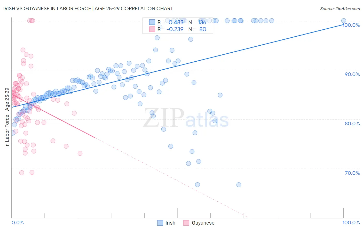 Irish vs Guyanese In Labor Force | Age 25-29