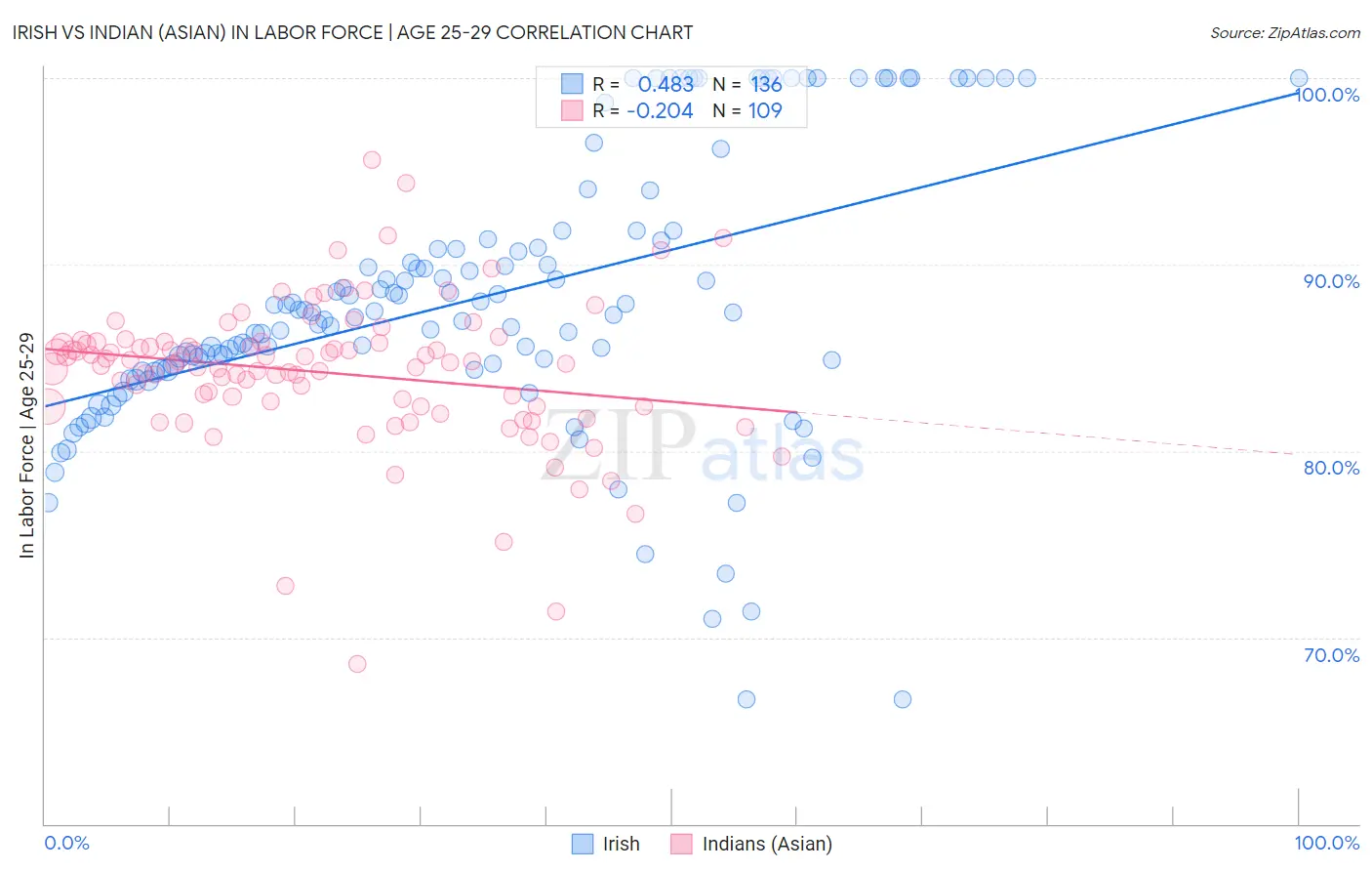 Irish vs Indian (Asian) In Labor Force | Age 25-29