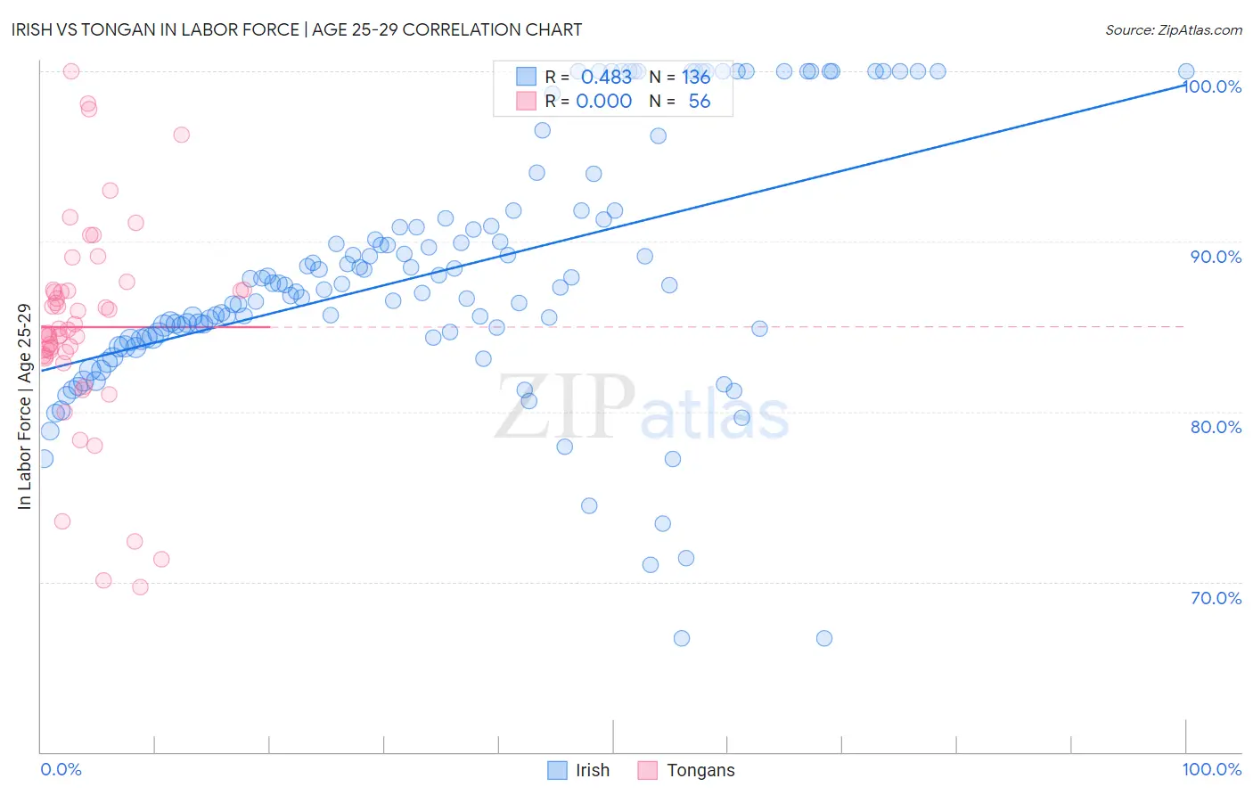 Irish vs Tongan In Labor Force | Age 25-29