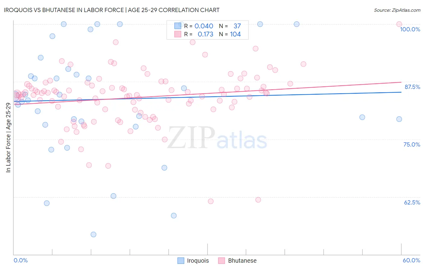 Iroquois vs Bhutanese In Labor Force | Age 25-29