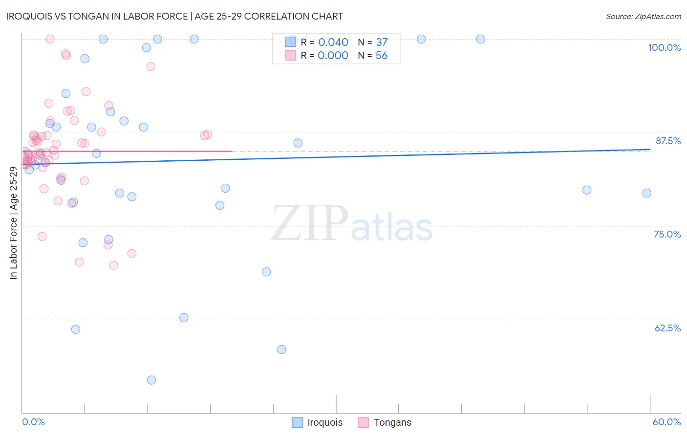 Iroquois vs Tongan In Labor Force | Age 25-29