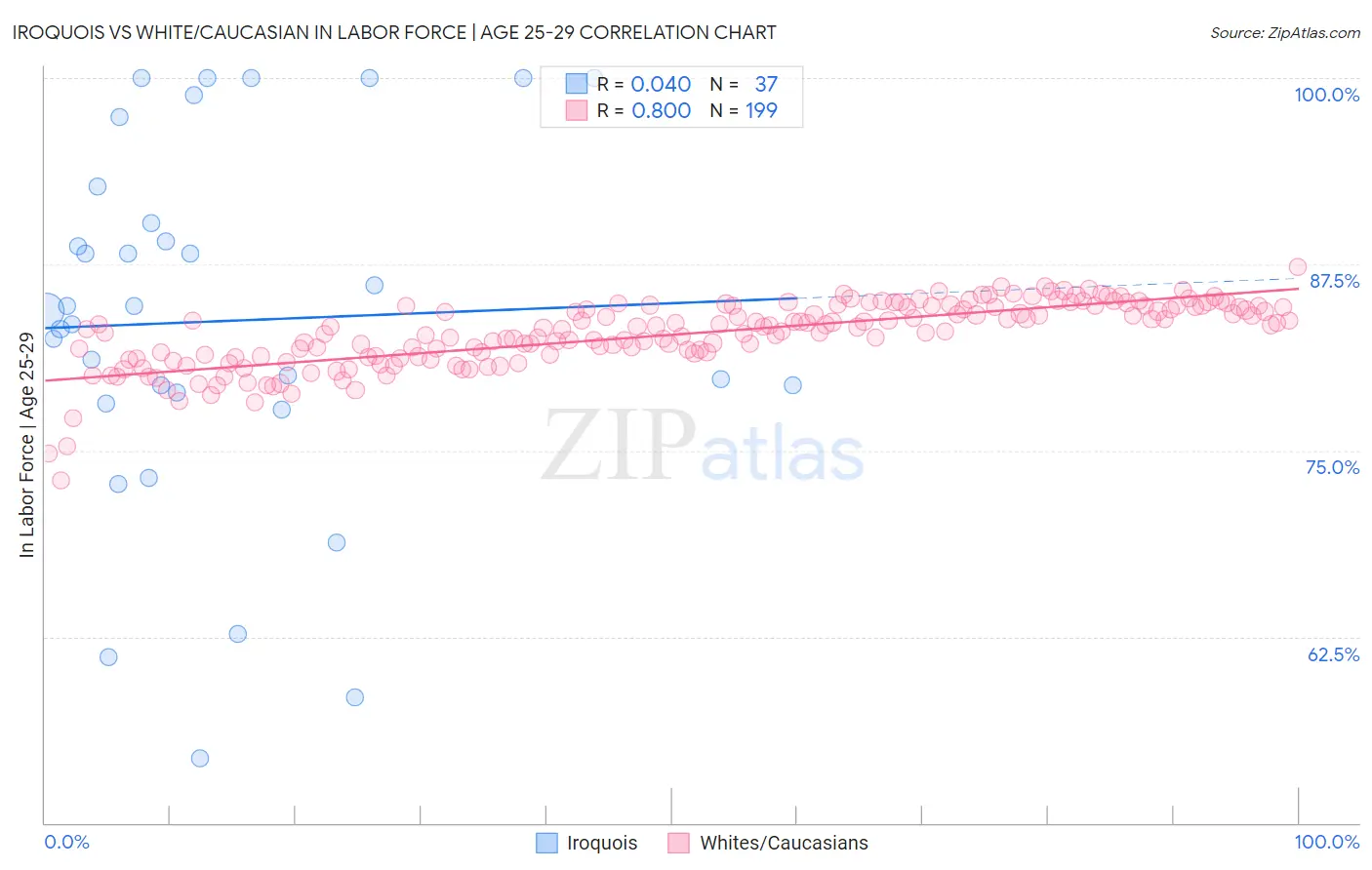 Iroquois vs White/Caucasian In Labor Force | Age 25-29