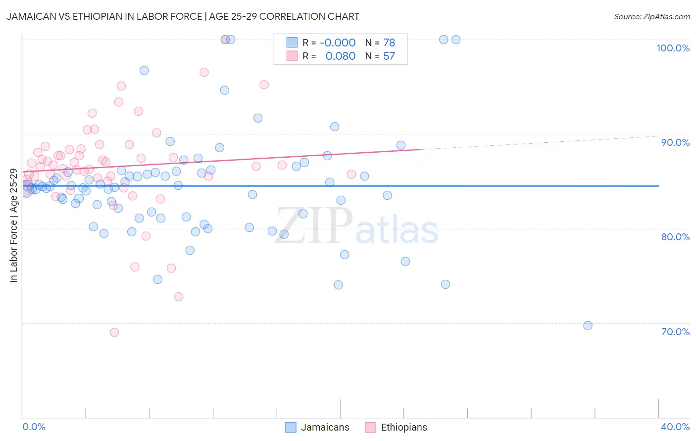 Jamaican vs Ethiopian In Labor Force | Age 25-29