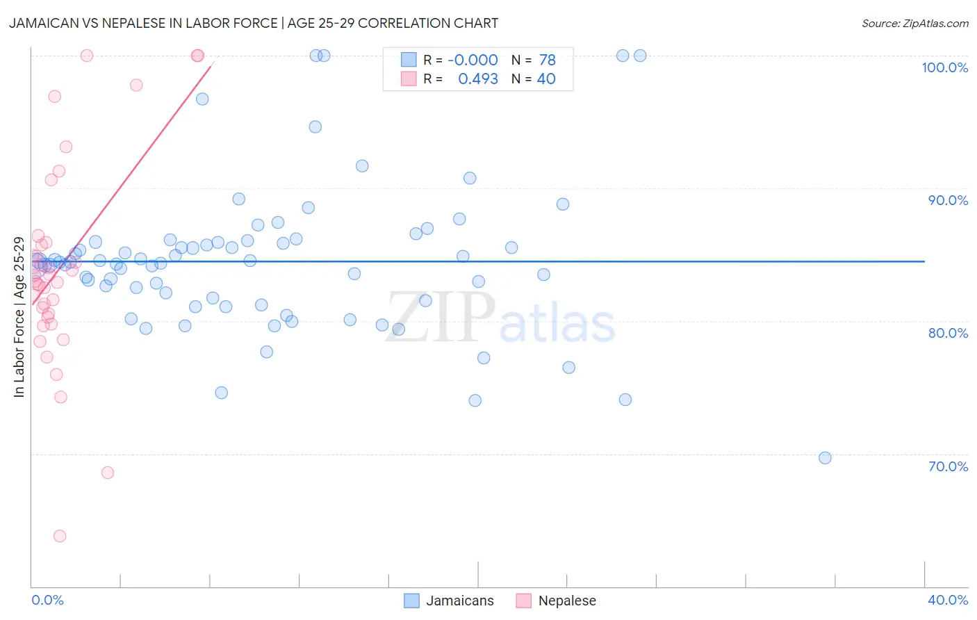 Jamaican vs Nepalese In Labor Force | Age 25-29