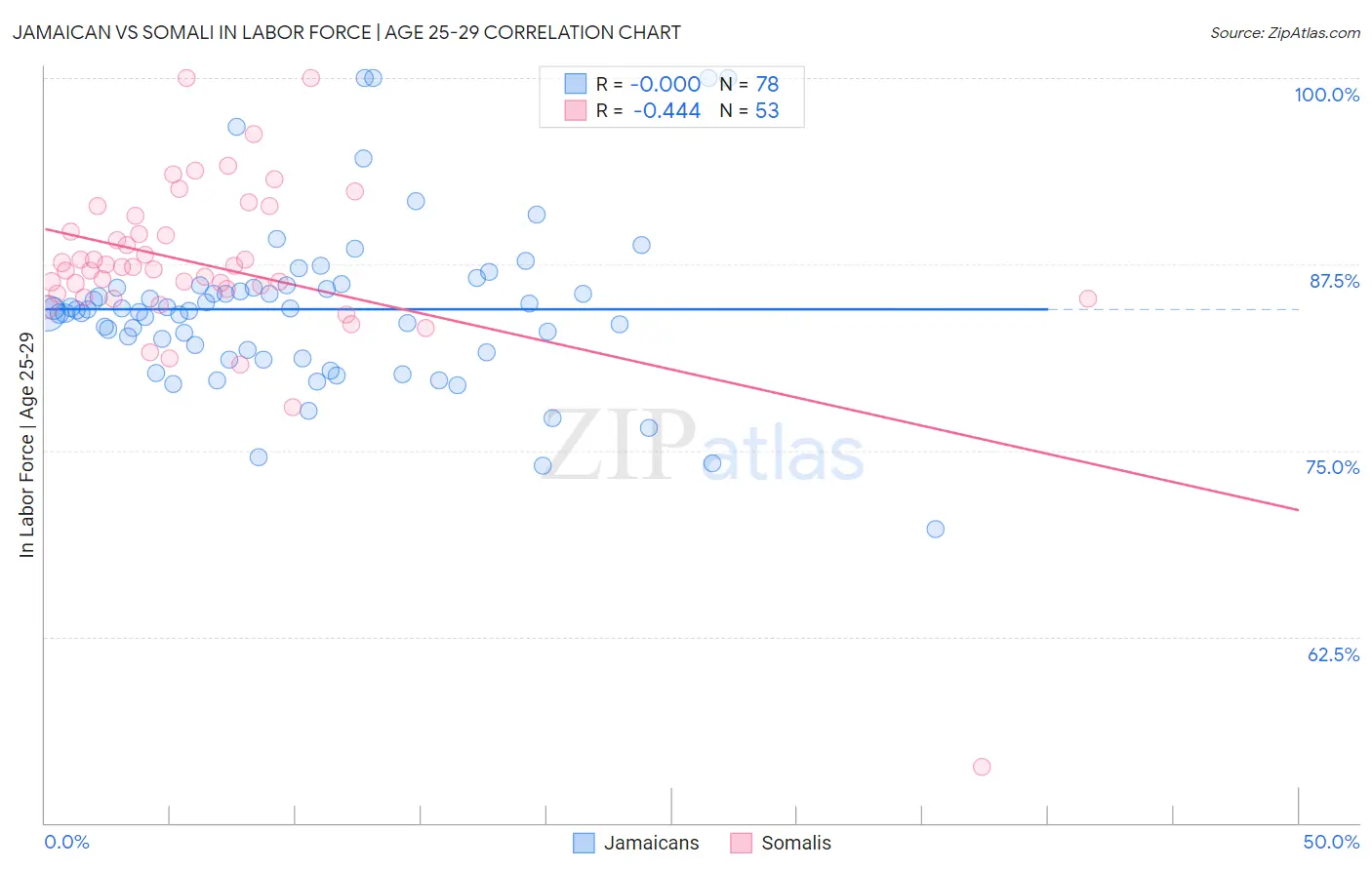 Jamaican vs Somali In Labor Force | Age 25-29