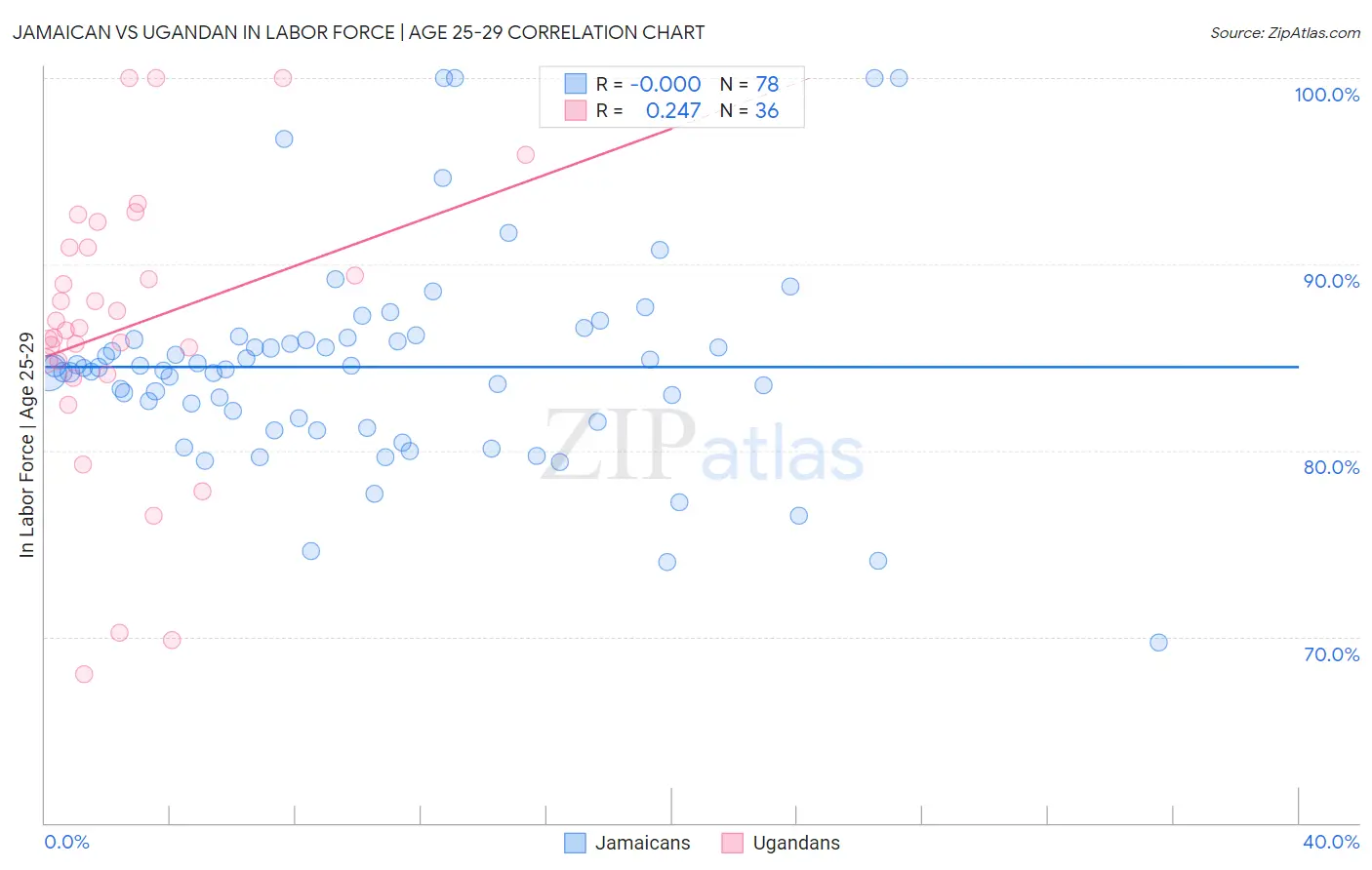 Jamaican vs Ugandan In Labor Force | Age 25-29
