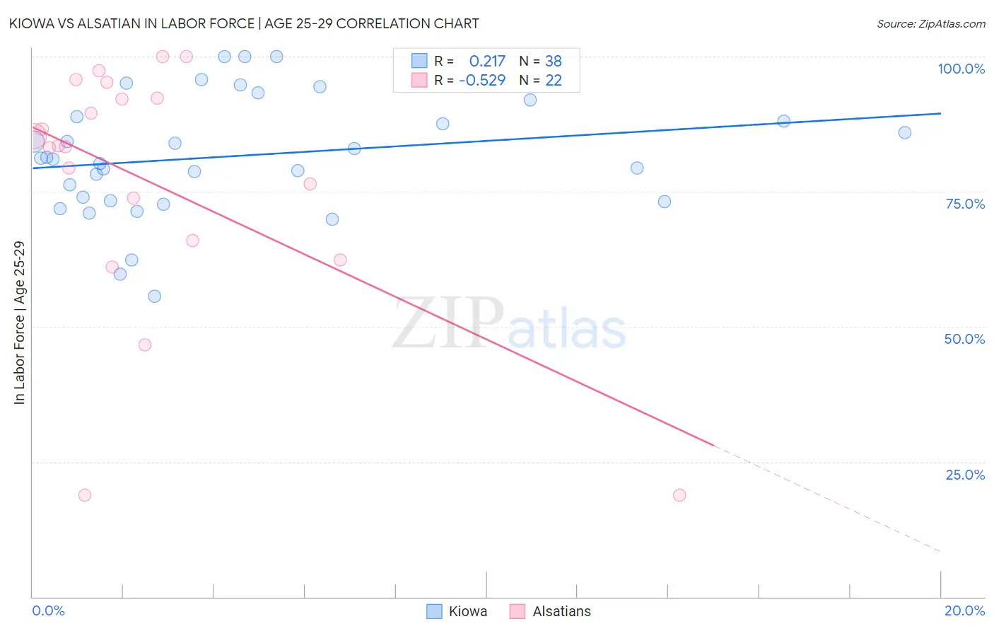 Kiowa vs Alsatian In Labor Force | Age 25-29