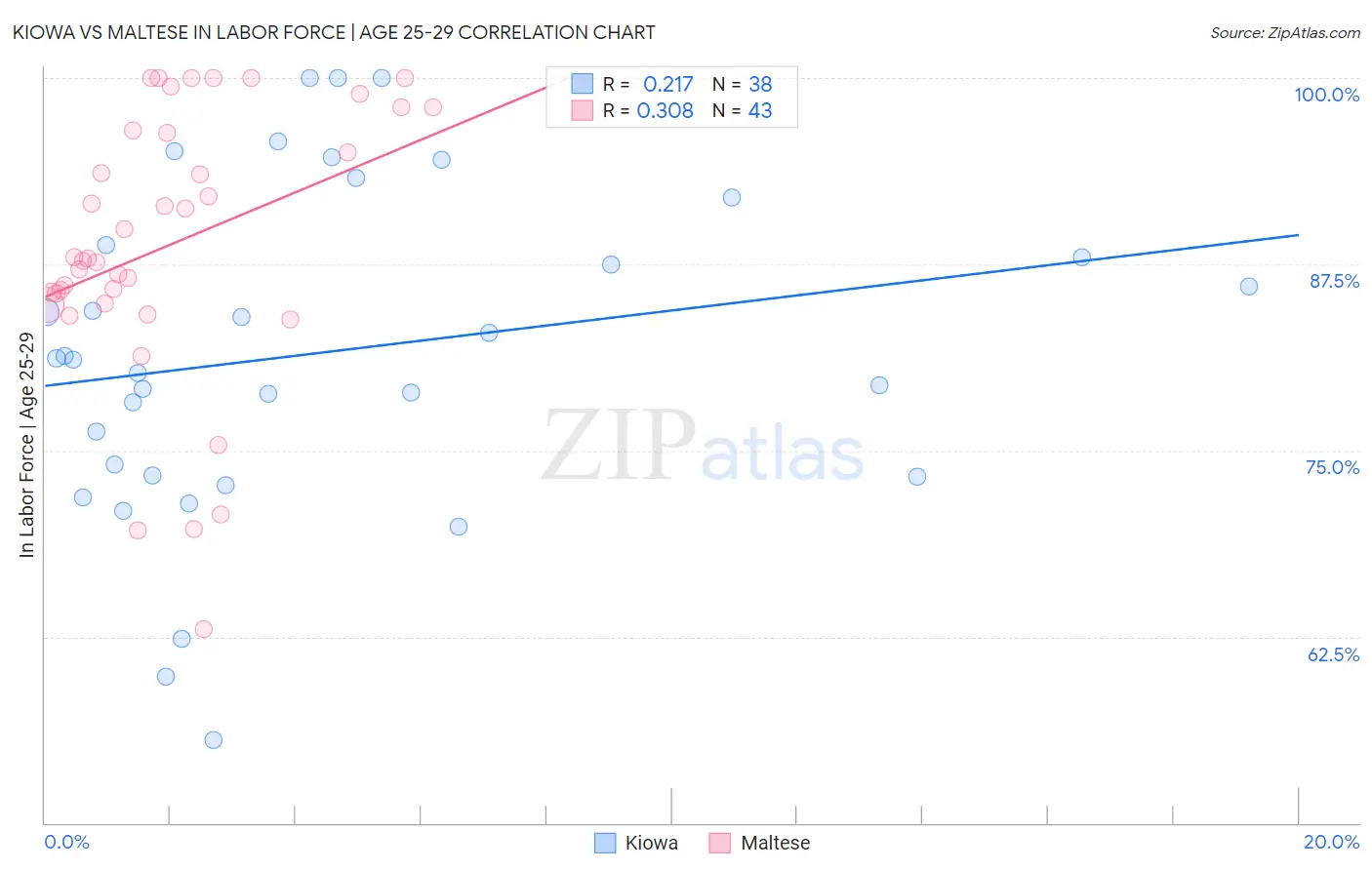 Kiowa vs Maltese In Labor Force | Age 25-29
