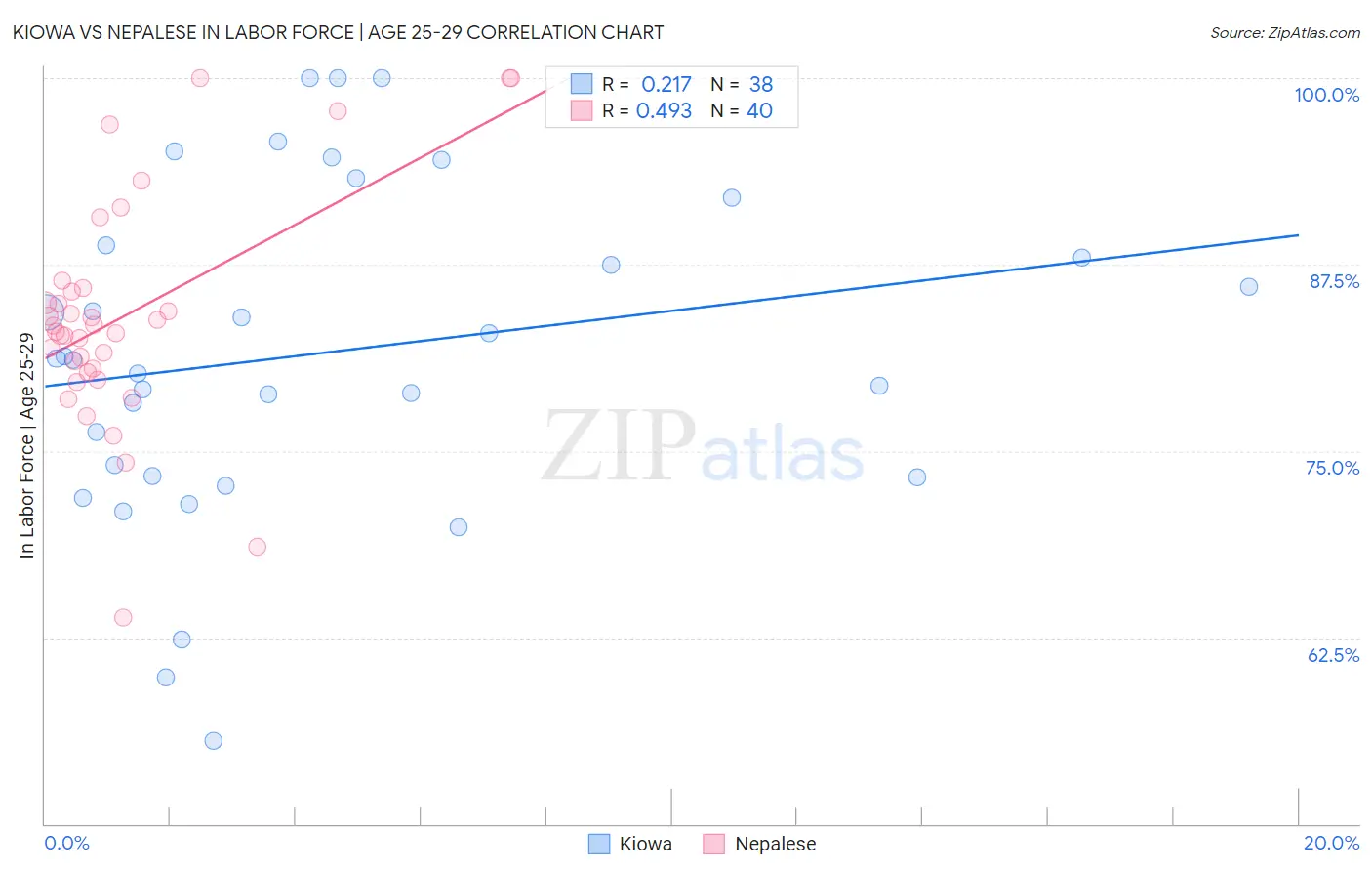 Kiowa vs Nepalese In Labor Force | Age 25-29