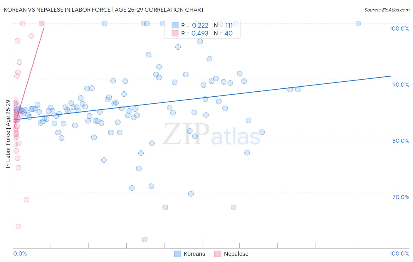 Korean vs Nepalese In Labor Force | Age 25-29