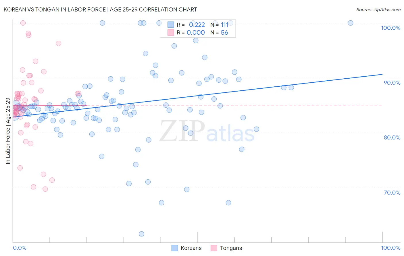 Korean vs Tongan In Labor Force | Age 25-29