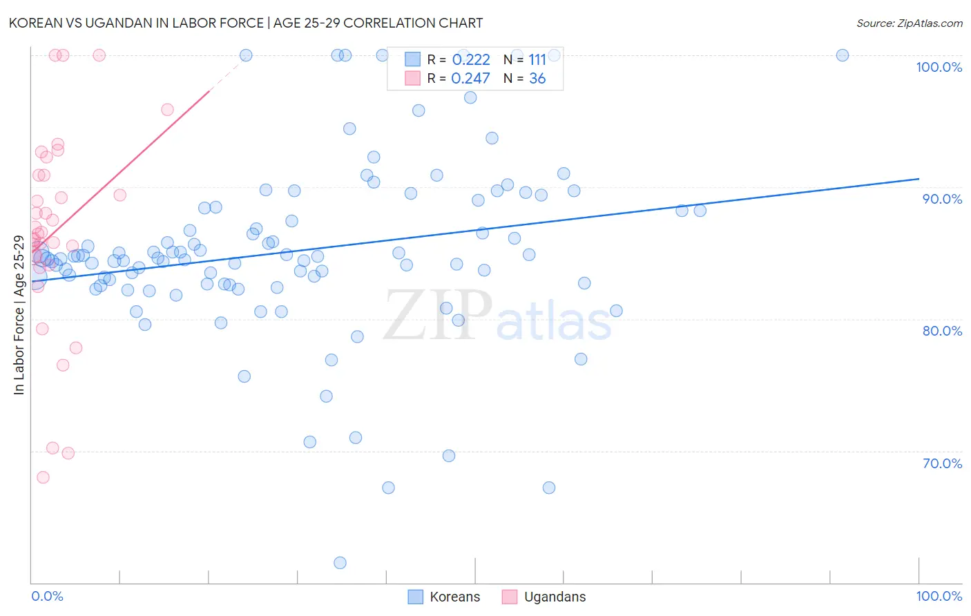 Korean vs Ugandan In Labor Force | Age 25-29