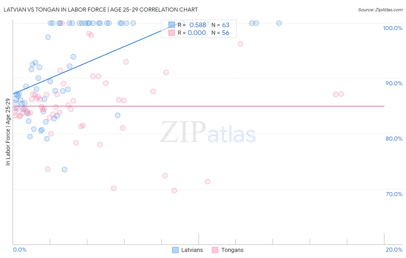 Latvian vs Tongan In Labor Force | Age 25-29