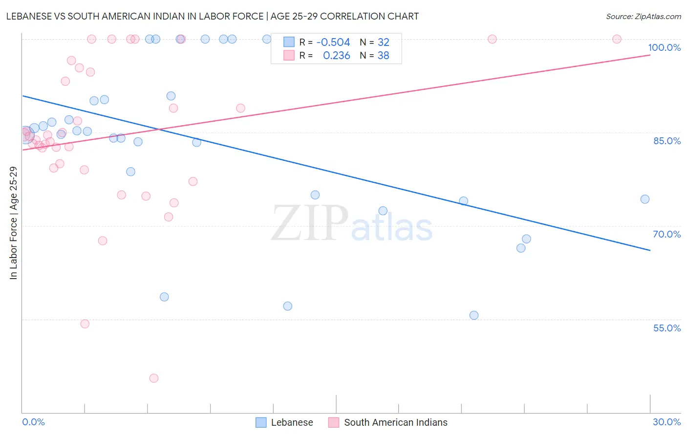 Lebanese vs South American Indian In Labor Force | Age 25-29