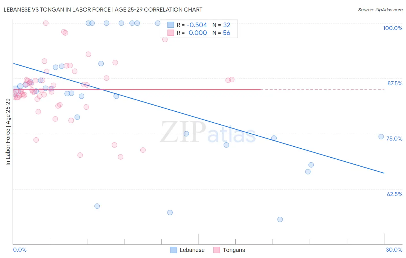 Lebanese vs Tongan In Labor Force | Age 25-29