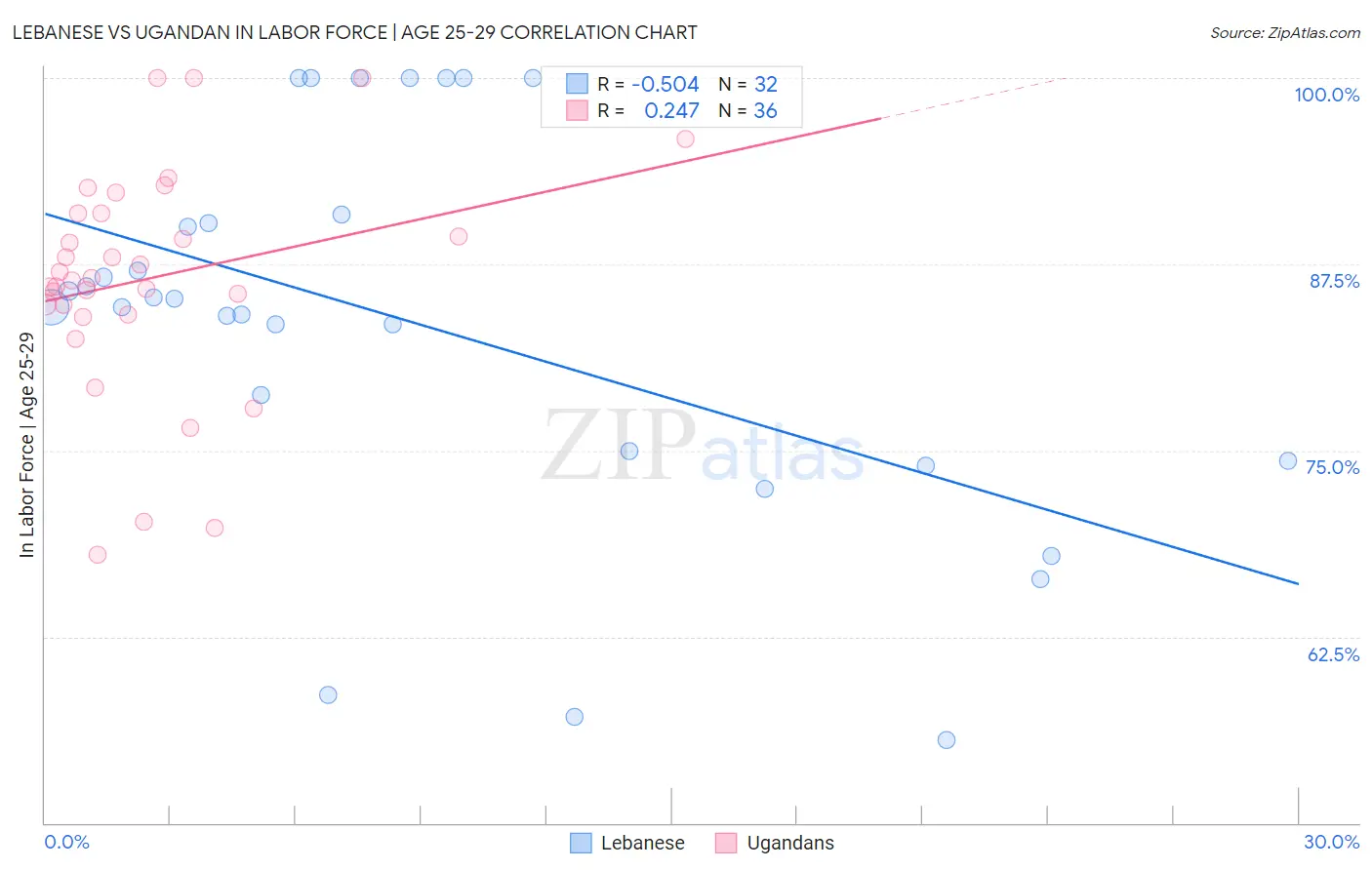 Lebanese vs Ugandan In Labor Force | Age 25-29