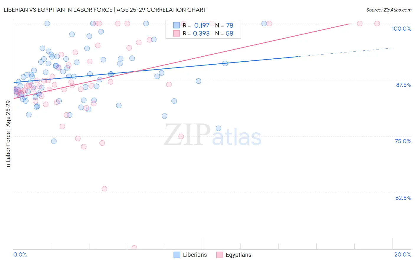 Liberian vs Egyptian In Labor Force | Age 25-29