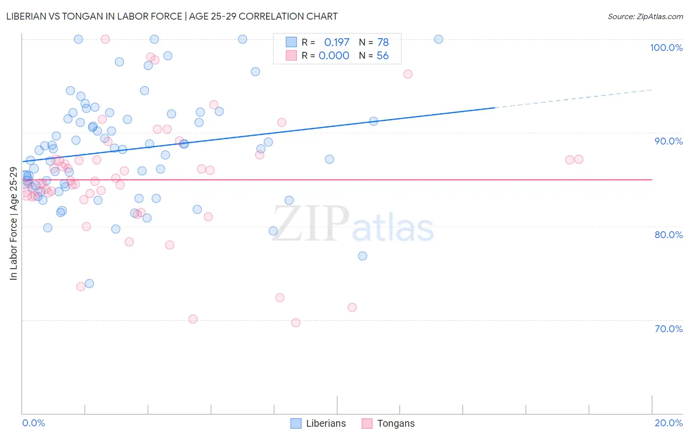 Liberian vs Tongan In Labor Force | Age 25-29