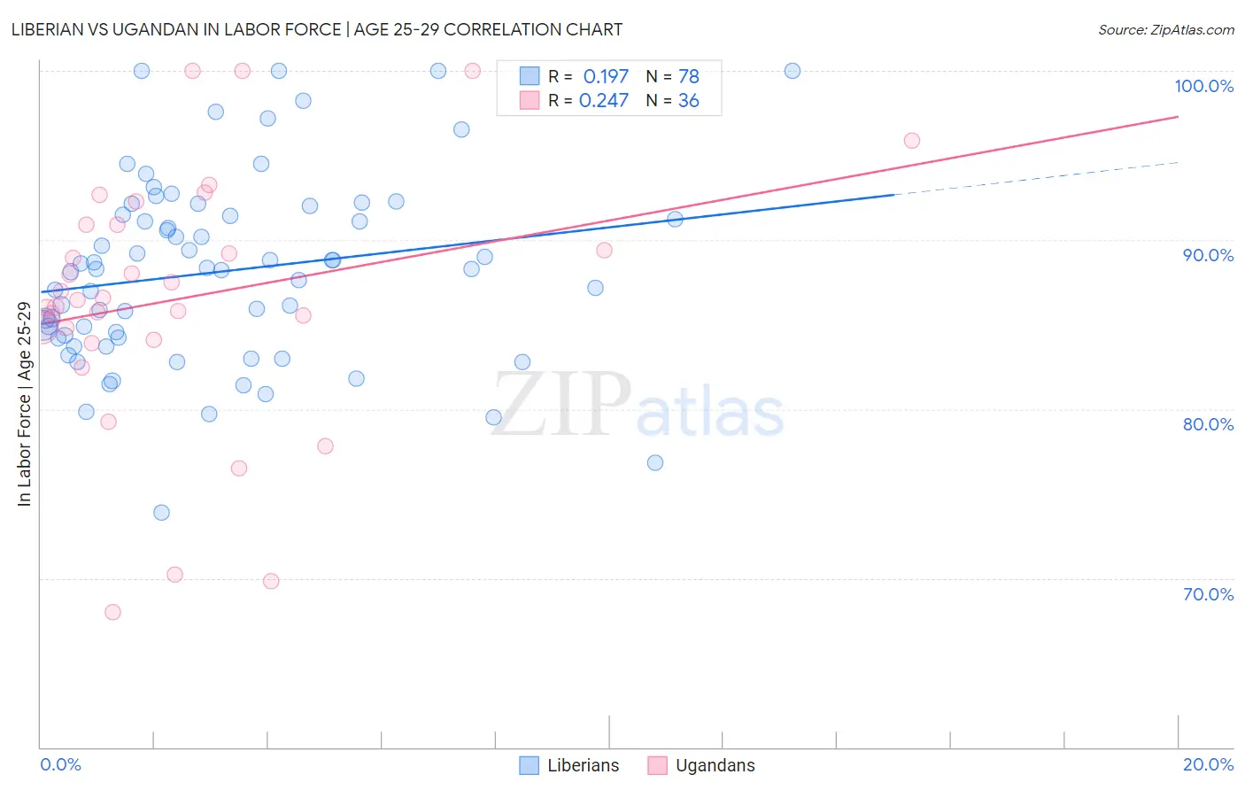Liberian vs Ugandan In Labor Force | Age 25-29