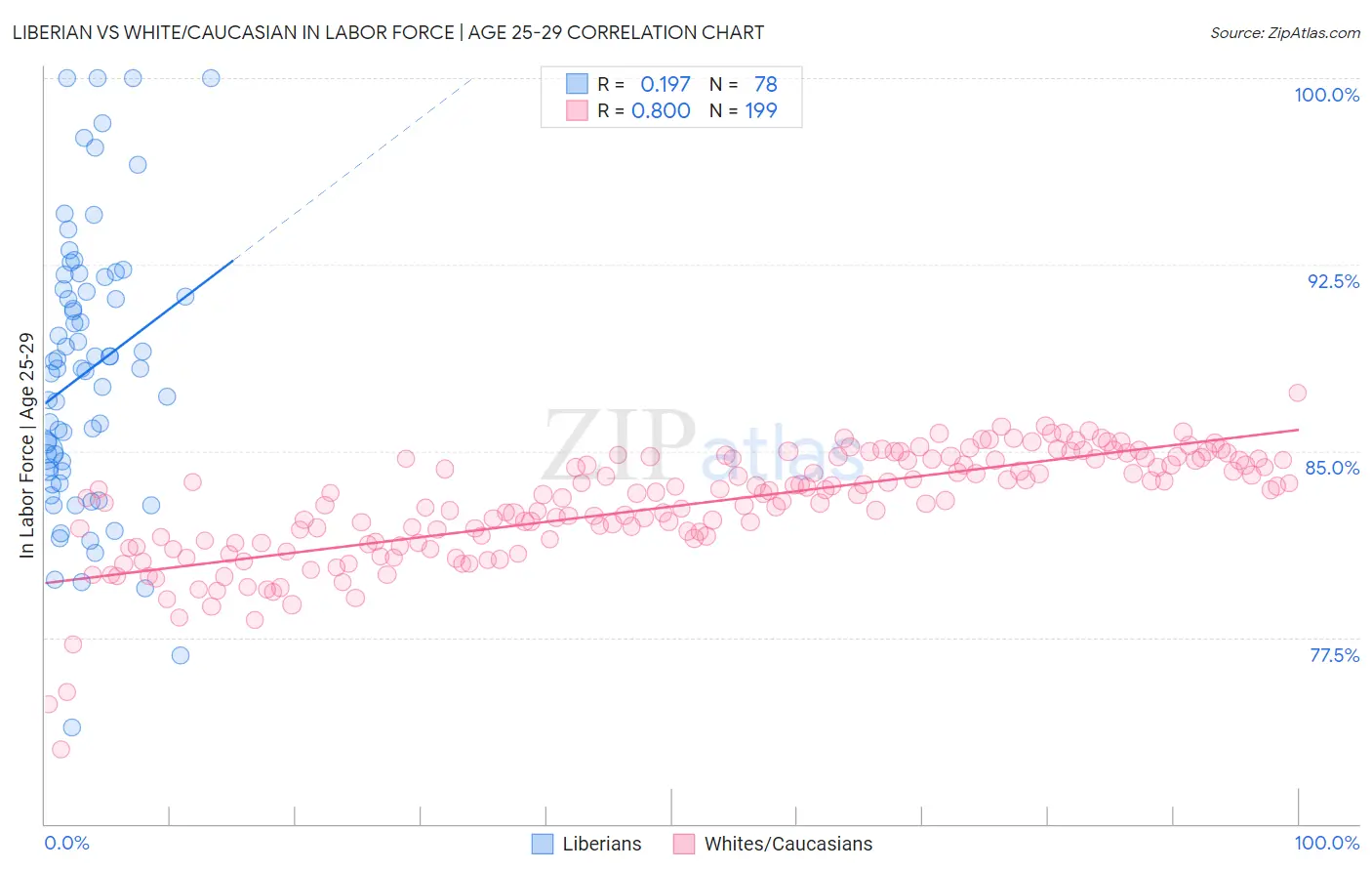 Liberian vs White/Caucasian In Labor Force | Age 25-29