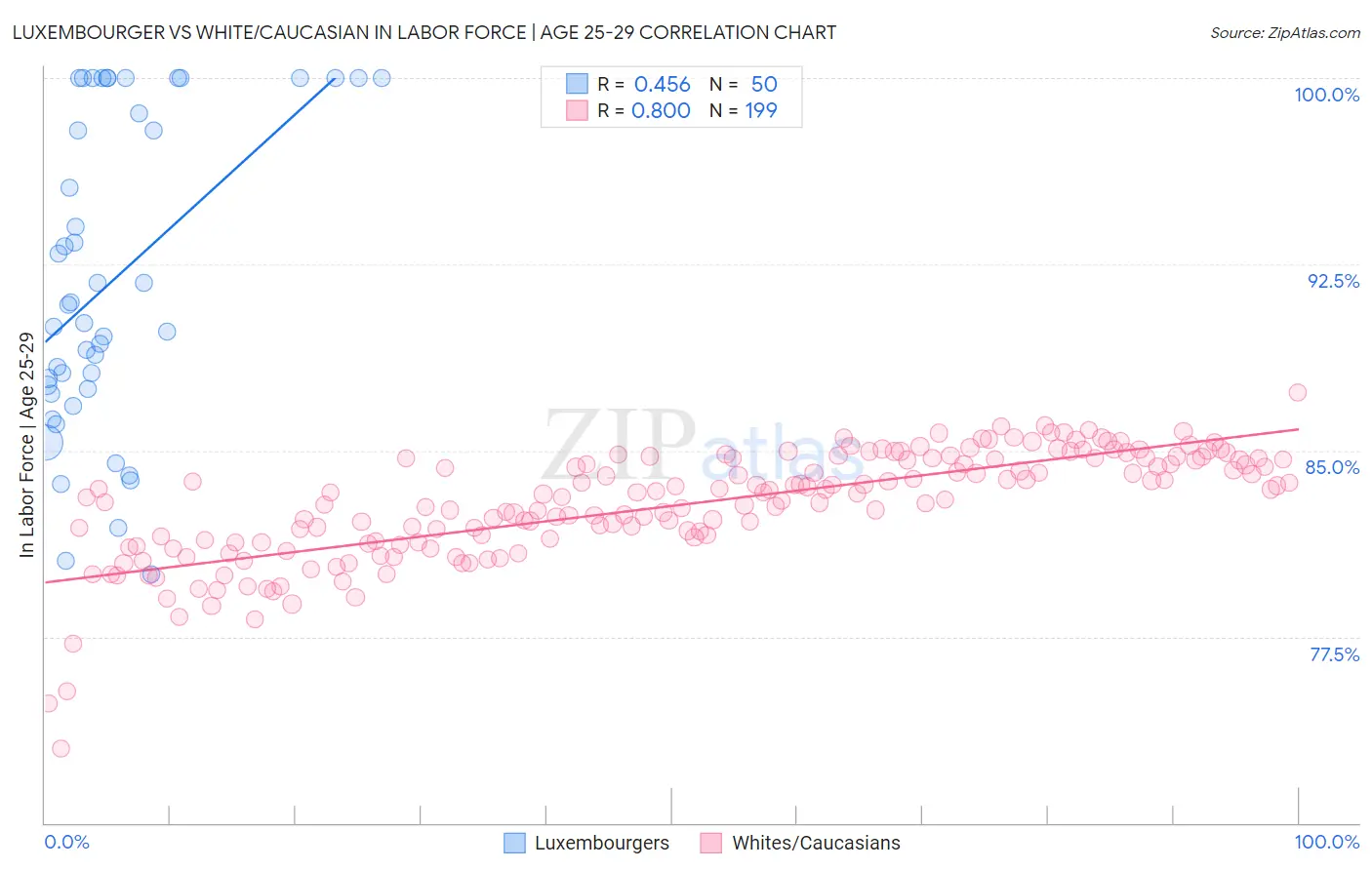 Luxembourger vs White/Caucasian In Labor Force | Age 25-29