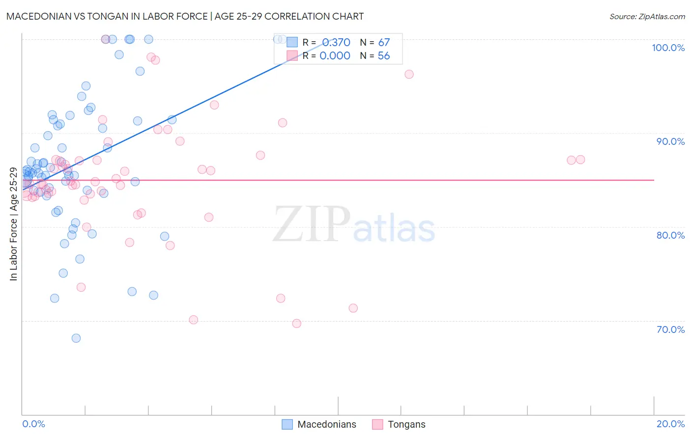 Macedonian vs Tongan In Labor Force | Age 25-29