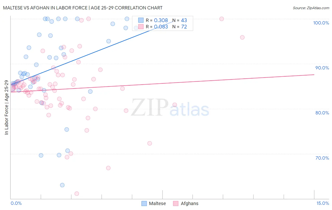 Maltese vs Afghan In Labor Force | Age 25-29
