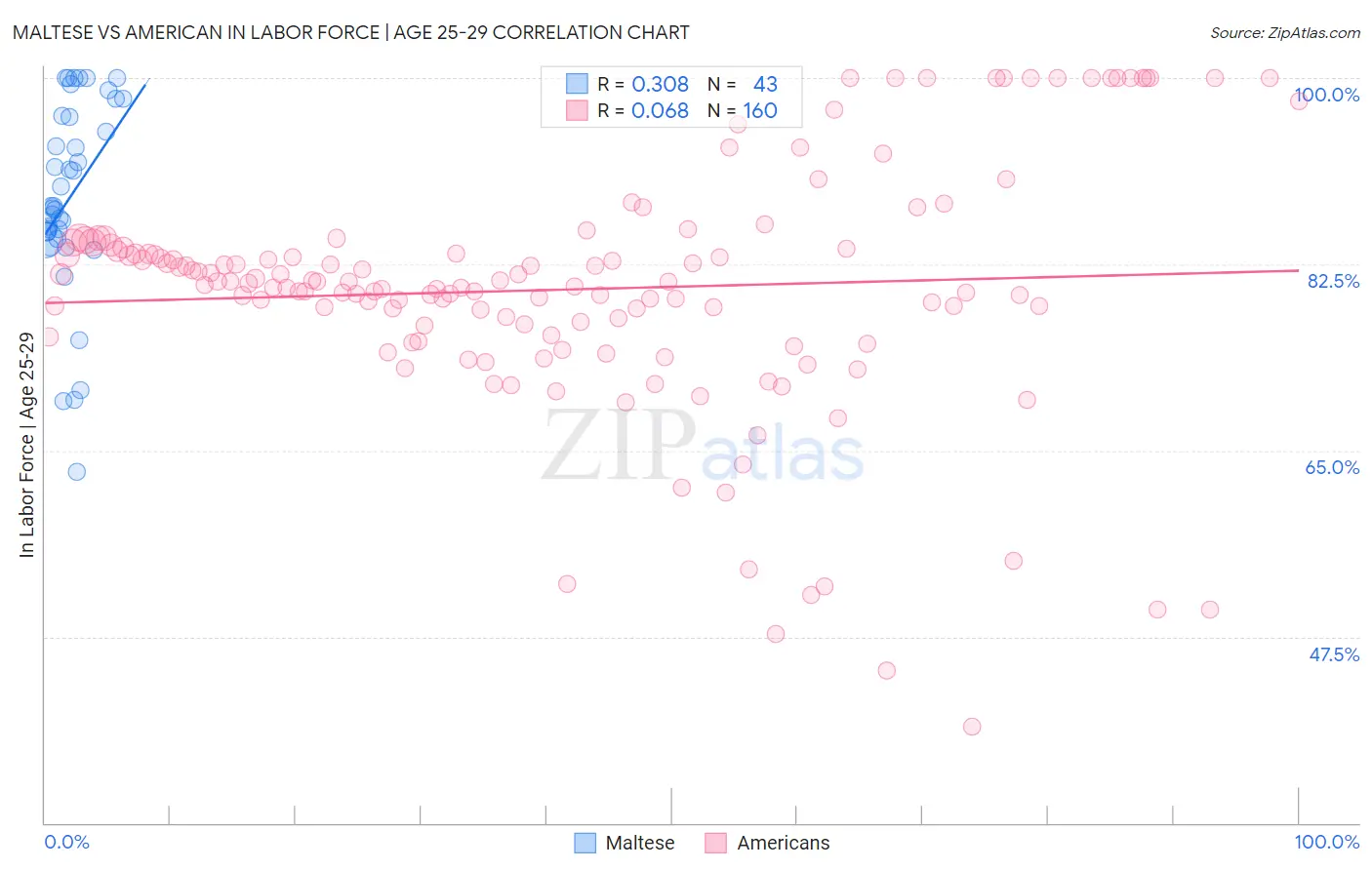 Maltese vs American In Labor Force | Age 25-29