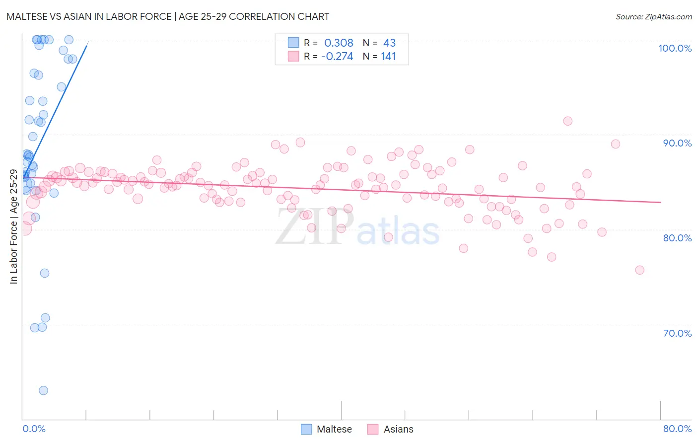Maltese vs Asian In Labor Force | Age 25-29