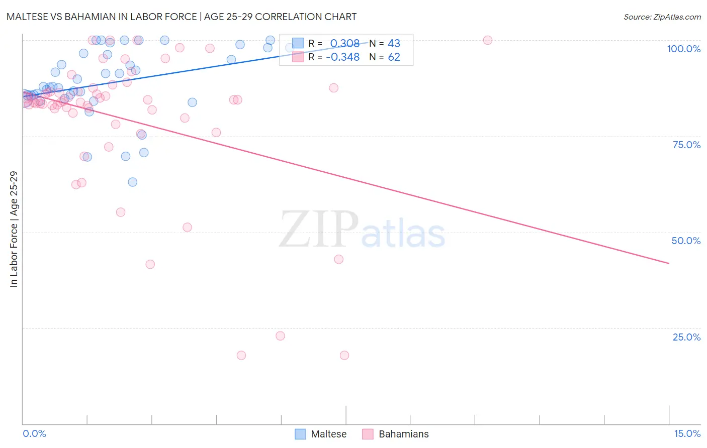 Maltese vs Bahamian In Labor Force | Age 25-29