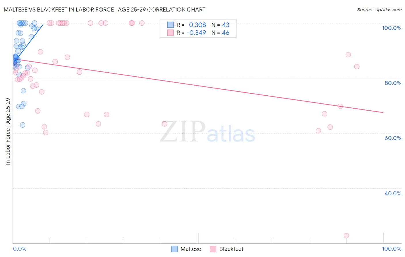 Maltese vs Blackfeet In Labor Force | Age 25-29