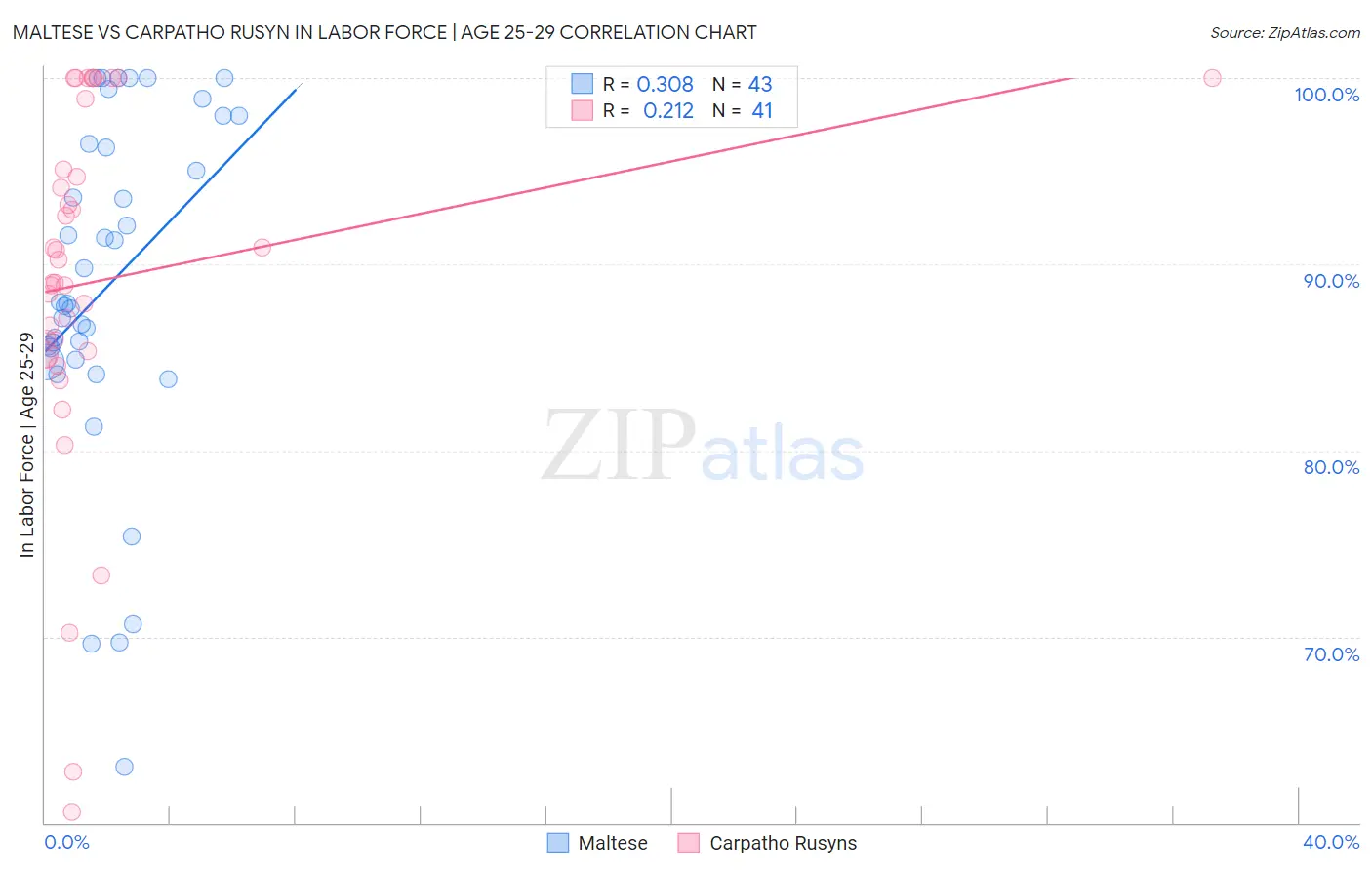Maltese vs Carpatho Rusyn In Labor Force | Age 25-29