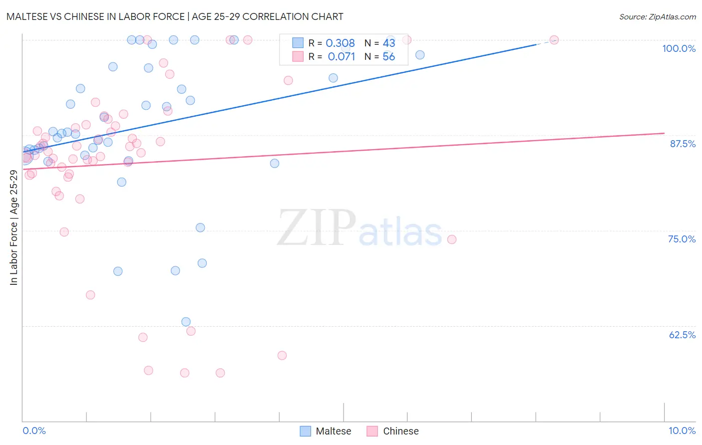Maltese vs Chinese In Labor Force | Age 25-29