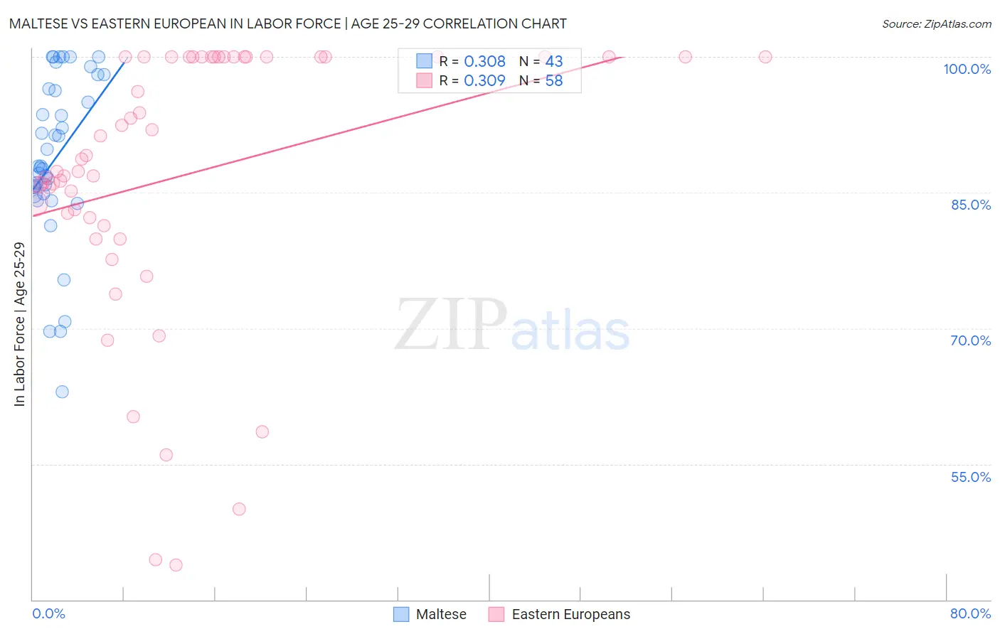 Maltese vs Eastern European In Labor Force | Age 25-29