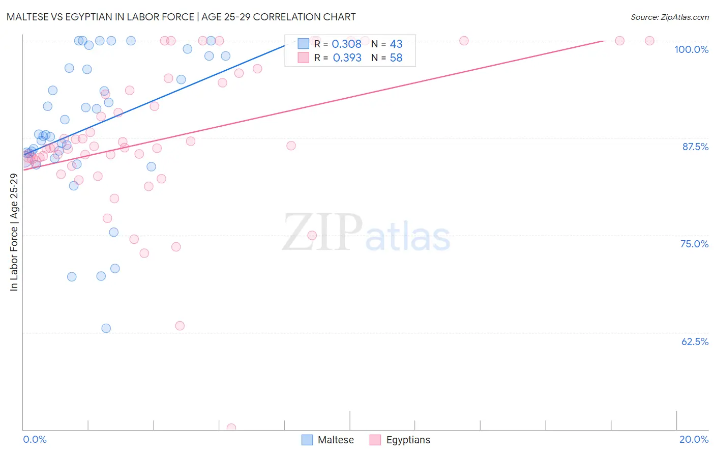 Maltese vs Egyptian In Labor Force | Age 25-29