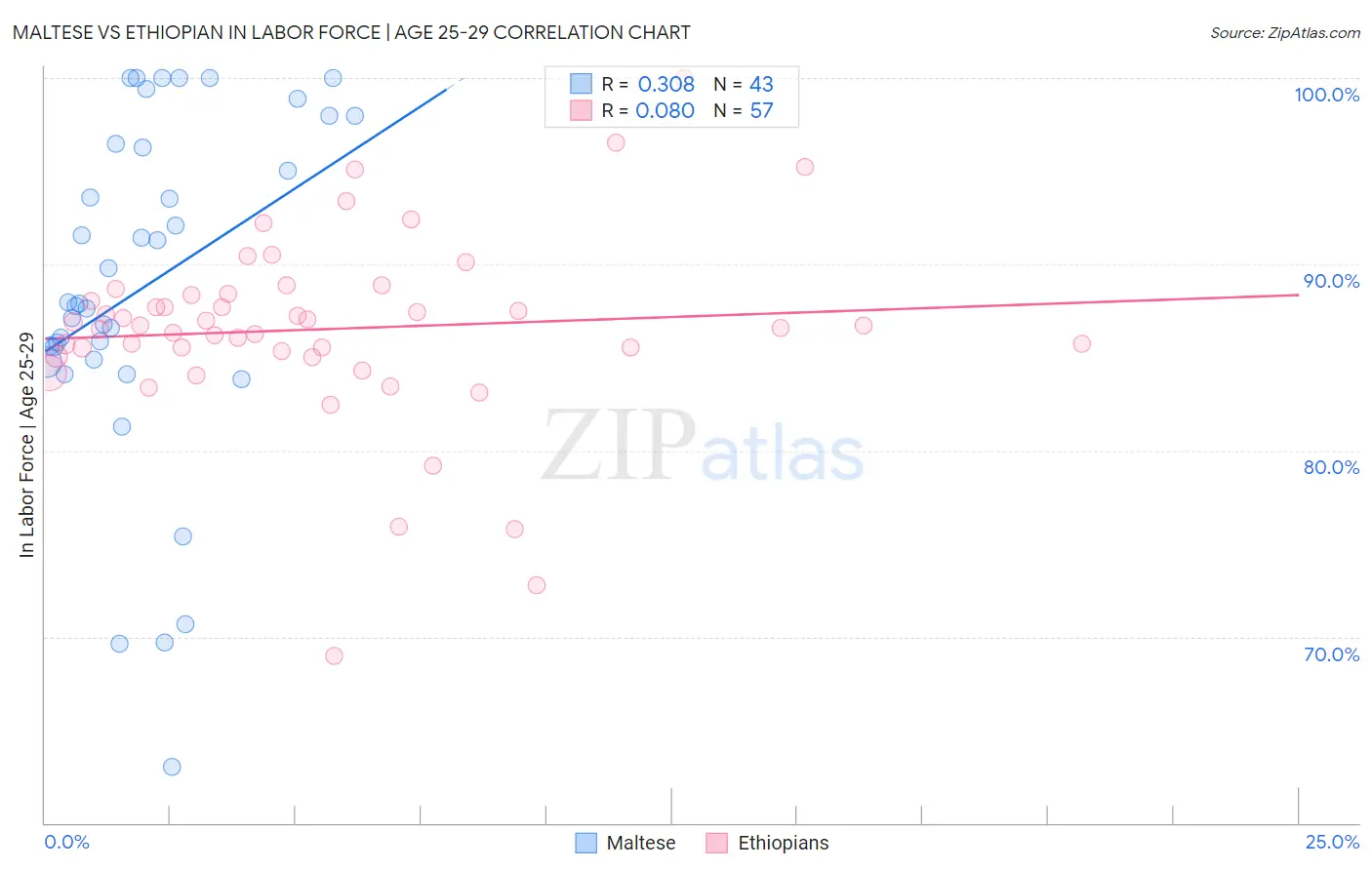 Maltese vs Ethiopian In Labor Force | Age 25-29