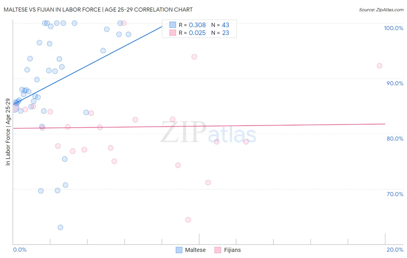Maltese vs Fijian In Labor Force | Age 25-29