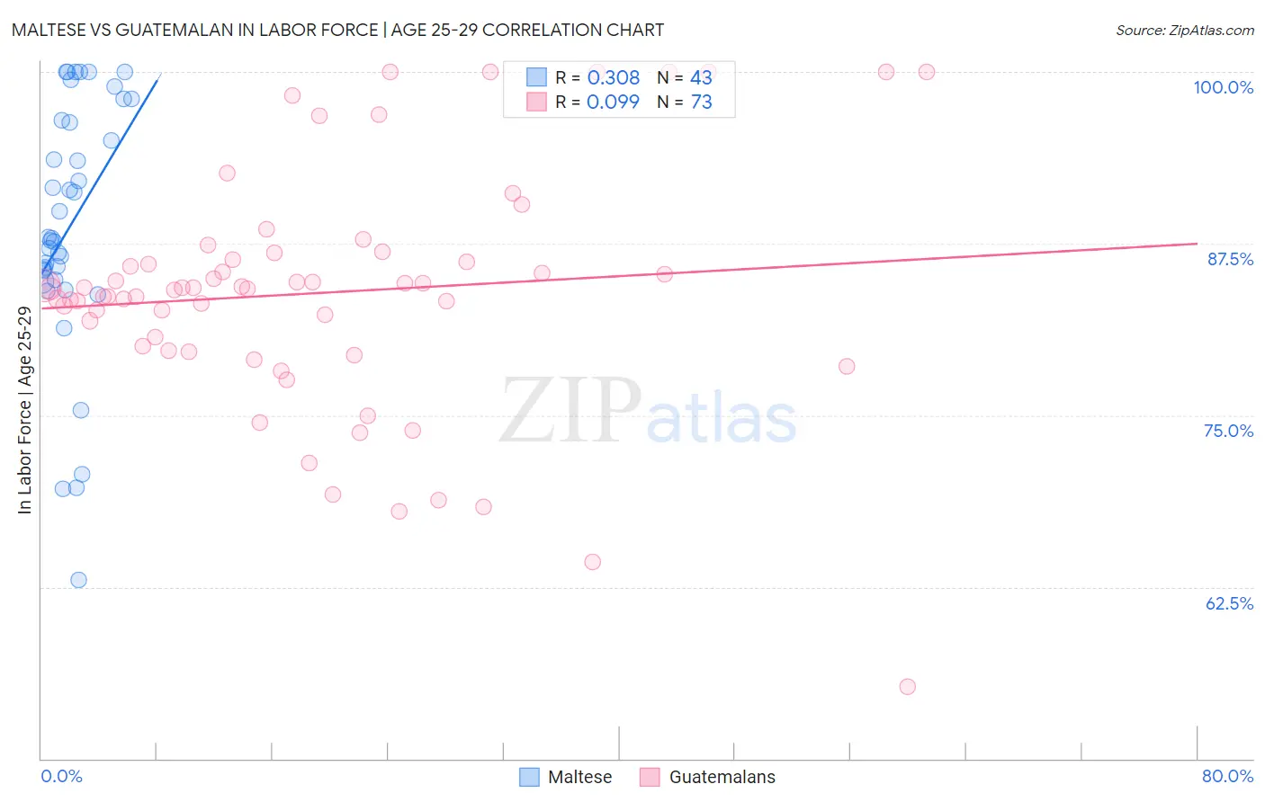 Maltese vs Guatemalan In Labor Force | Age 25-29