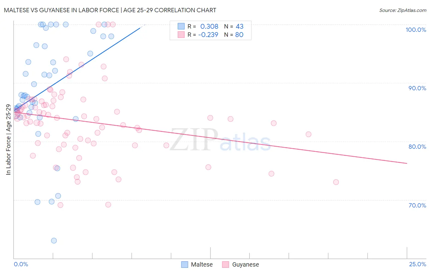 Maltese vs Guyanese In Labor Force | Age 25-29