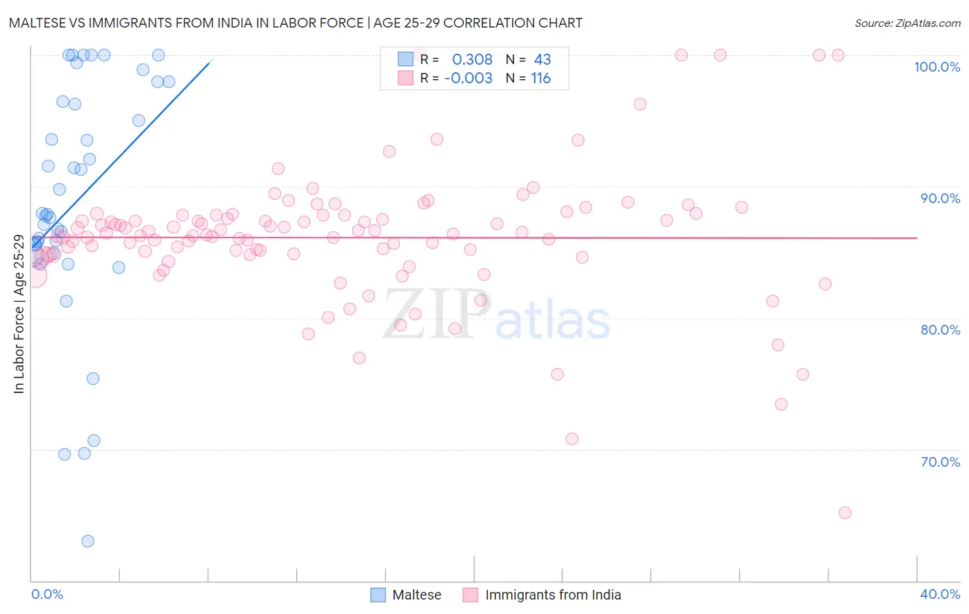 Maltese vs Immigrants from India In Labor Force | Age 25-29