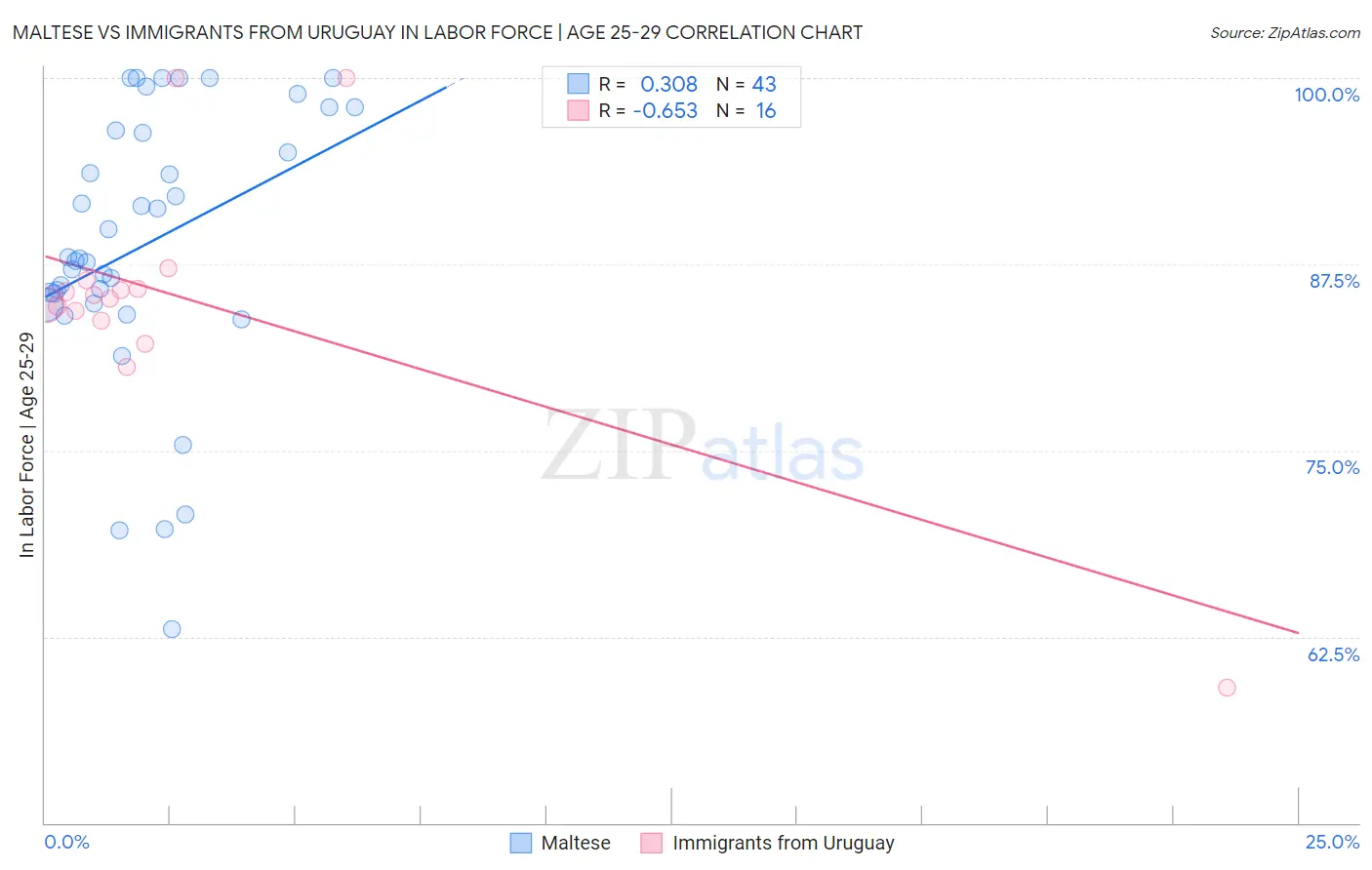 Maltese vs Immigrants from Uruguay In Labor Force | Age 25-29