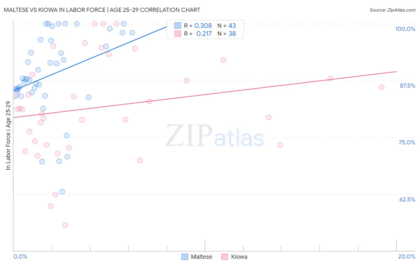 Maltese vs Kiowa In Labor Force | Age 25-29