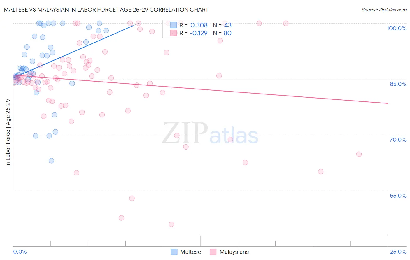 Maltese vs Malaysian In Labor Force | Age 25-29