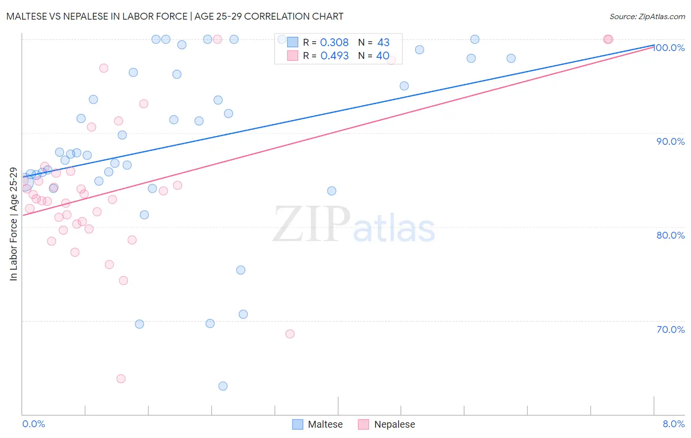 Maltese vs Nepalese In Labor Force | Age 25-29