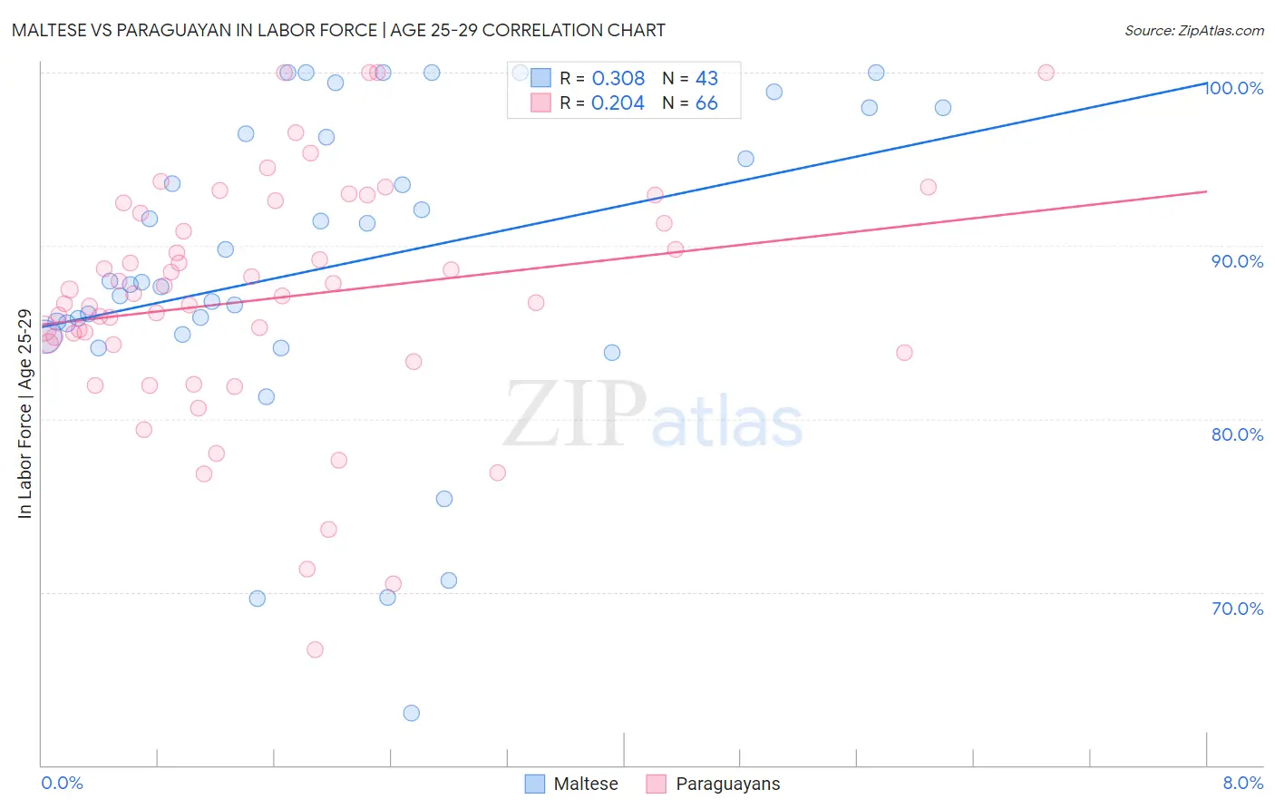 Maltese vs Paraguayan In Labor Force | Age 25-29