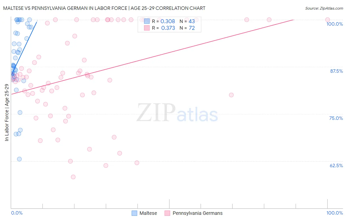 Maltese vs Pennsylvania German In Labor Force | Age 25-29