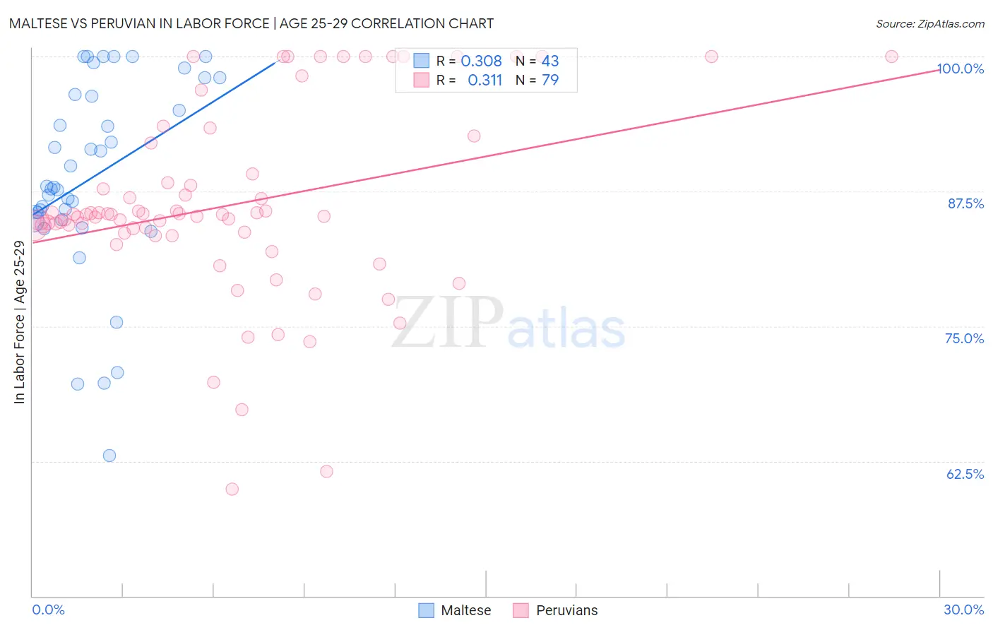 Maltese vs Peruvian In Labor Force | Age 25-29